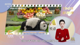 完整版在线观看